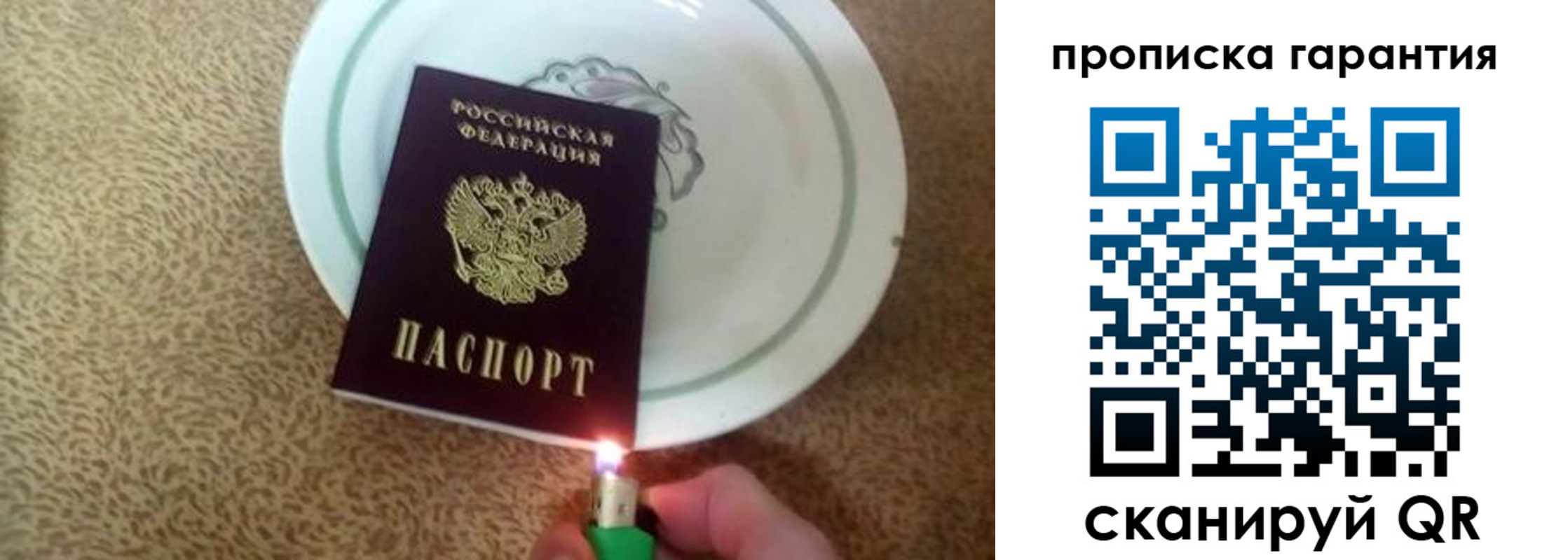 прописка гарантия в Тайге